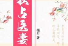 小说《独占医妻》章节免费阅读-乐读文学