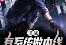 在线寻找谍战:有系统做内线,我可以躺赢小说的无删减版本-乐读文学