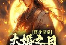 小说《替身皇帝,大婚之日假戏真做了》章节免费阅读-乐读文学