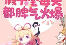 快穿:假千金每天都脾气火爆言之之宁安安小说免费阅读-乐读文学