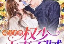 免费阅读顾晚权盛为主角的小说,萌宝来袭:权少宠妻不腻在线看-乐读文学