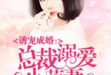 免费在线阅读总裁溺爱小萌妻小说的正规网站有哪些?-乐读文学