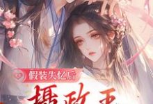 完结版《假装失忆后,摄政王重新爱上她》在线免费阅读-乐读文学