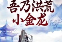 哪里能找到天官赐福:吾乃洪荒小金龙小说的最新更新和免费章节?-乐读文学