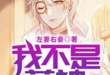 《我不是药神》小说大结局免费试读 叶准江聆韵刘影黄凌波小说-乐读文学