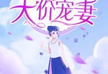 枕上强宠:霍总的天价宠妻霍凌沉年雅璇,枕上强宠:霍总的天价宠妻章节在线阅读-乐读文学
