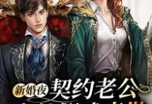 已完结小说《新婚夜,契约老公竟然假戏真做》最新章节-乐读文学