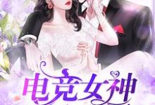 主角纪晚晴隋冉鸿小说完结版在线阅读,电竞女神又A又飒免费看-乐读文学