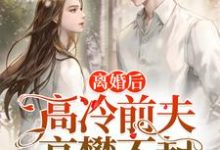 离婚后,高冷前夫高攀不起小说最新更新在哪里?免费在线看-乐读文学