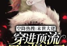 空降热搜:末世大佬穿进顶流男团爆红了小说阅读,空降热搜:末世大佬穿进顶流男团爆红了完结版-乐读文学