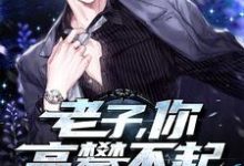 老子,你高攀不起小说有没有完整的免费版本在线阅读?-乐读文学