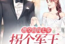 主角叫宋清灵霍瑾宸的小说在哪阅读-乐读文学