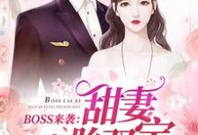 《BOSS来袭:甜妻一胎双宝》小说主角苏沫沫厉司夜章节章节免费在线阅读-乐读文学