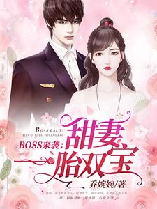 《BOSS来袭：甜妻一胎双宝》小说主角苏沫沫厉司夜章节章节免费在线阅读