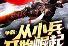 争霸:从小兵开始崛起 赢子仪宇文婵衣小说大结局免费试读-乐读文学