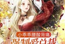 孟霁陆野的小说在哪里看?免费在线阅读小乖乖腰酸背痛,强制爱总裁是疯批-乐读文学