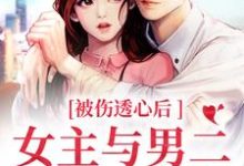 被伤透心后,女主与男二在一起了小说全文阅读需要付费吗?寻找免费资源-乐读文学