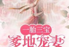唐阮阮傅锦川是哪本书的主角?寻找一胎三宝,爹地宠妻超给力免费阅读-乐读文学