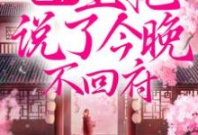 免费看王爷,王妃说了今晚不回府!小说的网站有哪些?-乐读文学