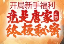 完结版《斗罗:开局新手福利,竟是唐家终极秘密》章节阅读-乐读文学