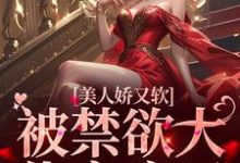 美人娇又软,被禁欲大佬宠疯了(霍南宴宁晚星)在线免费阅读-乐读文学