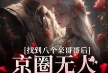 叶小汐的小说在哪里看?免费在线阅读找到八个亲哥哥后,京圈无人敢惹她-乐读文学