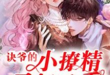 诀爷的小撩精又奶又香阮娇娇夜诀小说免费阅读-乐读文学