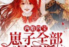 完结版《两胎四宝,崽子全部是反派》免费阅读-乐读文学