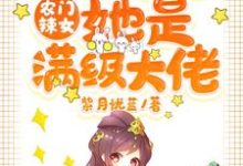 农门辣女:肥婆弃妇她是满级大佬小说有没有完整的免费版本在线阅读?-乐读文学
