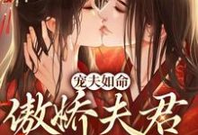 宠夫如命:傲娇夫君哪里逃江沉封凝小说在线章节免费阅读-乐读文学