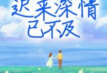 主角叫慕晚晚霍靖琛徐慧敏的小说在哪阅读-乐读文学