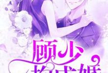 完结版《顾少一抱成婚》在线免费阅读-乐读文学