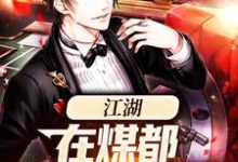 苏合的小说在哪里看?免费在线阅读江湖:在煤都奋斗的日子-乐读文学
