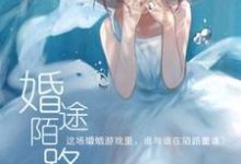 婚途陌路小说的无弹窗阅读体验,寻找免费阅读网站-乐读文学