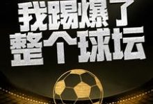 完结版《这一脚,我踢爆了整个球坛》章节目录在线阅读-乐读文学