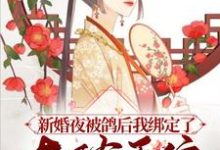 主人公林冉周允琛小说绑定系统后,不种田就被雷劈?在线章节阅读-乐读文学