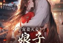 宠妻灭妾?娘子,我不会啊小说,宠妻灭妾?娘子,我不会啊在线阅读-乐读文学