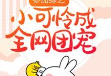 求顾萌萌夏天小说免费资源-乐读文学