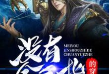 项枫琴絮为主角的小说好看吗?求没有金手指的穿越者免费试读-乐读文学