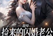 求甜晕,捡来的闪婚老公居然是首富小说的全文免费阅读链接-乐读文学