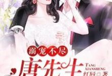 《溺宠不尽:唐先生,请矜持》小说章节在线试读,《溺宠不尽:唐先生,请矜持》最新章节目录-乐读文学