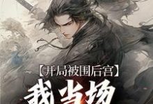 江策霍景是哪本书的主角?开局被围后宫,我当场登基为帝免费读-乐读文学