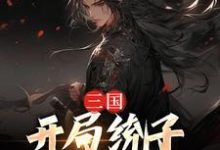 求三国:开局统子向我投靠小说免费资源-乐读文学