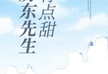 哪里能找到房东先生有点甜小说的全部章节?-乐读文学