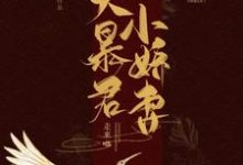 大暴君拎着他的小娇妻走来啦小说,大暴君拎着他的小娇妻走来啦章节在线阅读-乐读文学