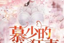 完结版《慕少的千亿狂妻》章节阅读-乐读文学
