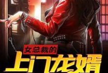 免费看女总裁的上门龙婿小说的网站有哪些?-乐读文学