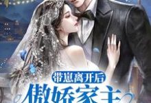 《带崽离开后,傲娇家主追妻火葬场》小说大结局免费试读 尚希辜闻小说-乐读文学