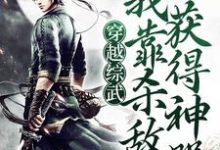 完结版《穿越综武,我靠杀敌获得神器》章节阅读-乐读文学