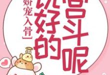 苏静翕宗政瑾小说在哪里可以看-乐读文学